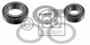 BPW 0980102180S1 Wheel Bearing Kit